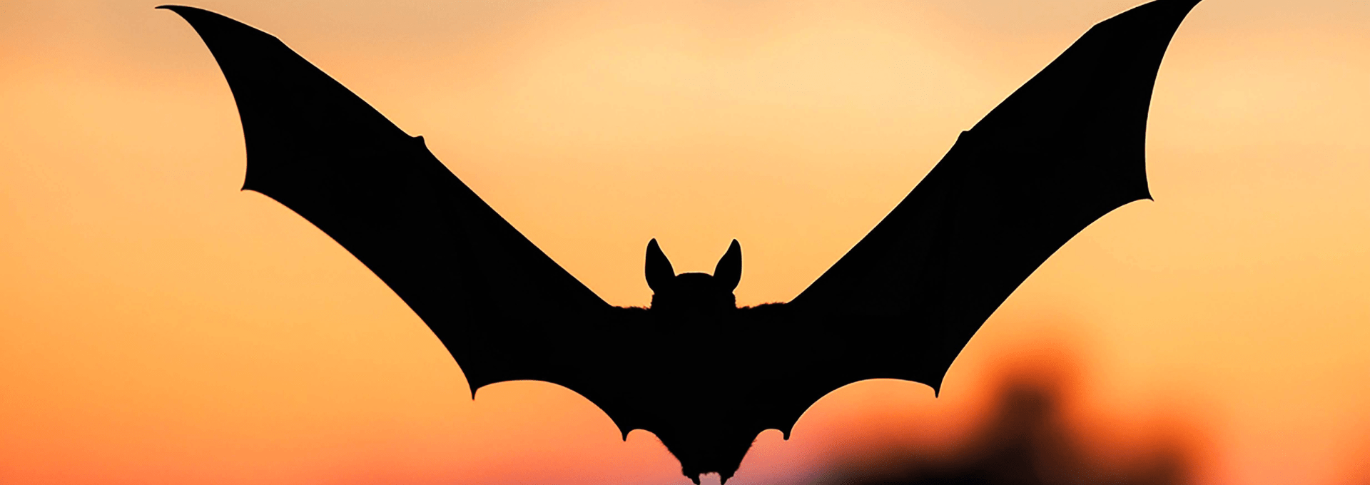 Batman business support